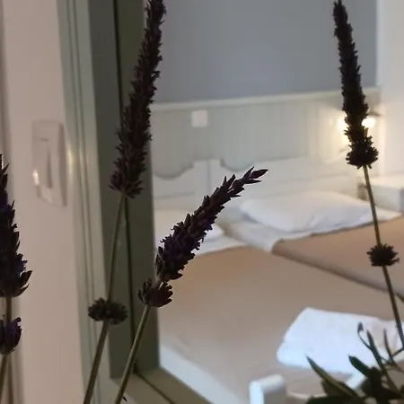 B&B Elia