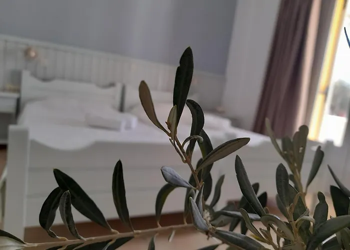 Bed & Breakfast Elia Skala