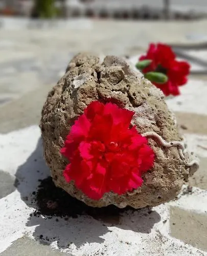 Elia Bed & Breakfast Skala