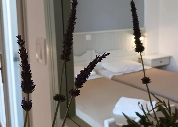 Bed & Breakfast Elia